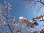 ふとんのプロフィール画像