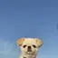 ナナのプロフィール画像