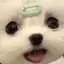 mac_のプロフィール画像