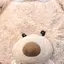𝑨のプロフィール画像