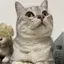 ふーのプロフィール画像