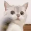ころのプロフィール画像