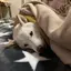 ゆみぽんのプロフィール画像