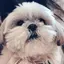 かえのプロフィール画像