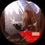 あやぴのプロフィール画像