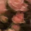 もものプロフィール画像