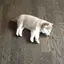 めぐのプロフィール画像