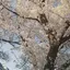 そらのプロフィール画像