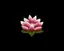 はるのプロフィール画像