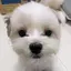 axsのプロフィール画像