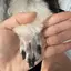 みひろのプロフィール画像