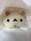 美樹のプロフィール画像