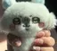 chiのプロフィール画像