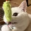 きゃののプロフィール画像