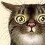 ねねこのプロフィール画像