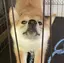 志保のプロフィール画像