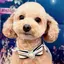 ウエダのプロフィール画像