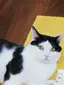 もこのプロフィール画像