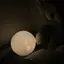 さのプロフィール画像