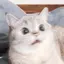りのプロフィール画像
