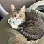 陽子のプロフィール画像