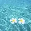 りんのプロフィール画像