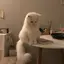 aaaのプロフィール画像