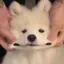 アヤのプロフィール画像