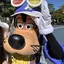 あぼかどのプロフィール画像