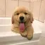 🧡のプロフィール画像