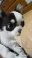 とまとまとのプロフィール画像