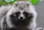 けーこのプロフィール画像
