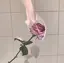 やののプロフィール画像