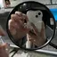 こばしりのプロフィール画像