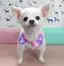 tomomiのプロフィール画像