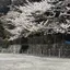 mkのプロフィール画像