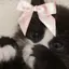 🍒のプロフィール画像