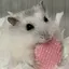 美來のプロフィール画像