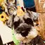 yのプロフィール画像
