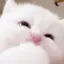 r･*·̩͙꒰ঌのプロフィール画像