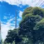 けみのプロフィール画像
