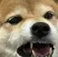 むらのかみのプロフィール画像