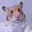 あいのプロフィール画像