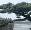 あのプロフィール画像