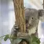 恵梨子のプロフィール画像