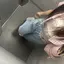 ひよりのプロフィール画像