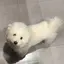 茉穂のプロフィール画像