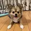 ジェイミーのプロフィール画像