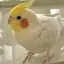 ぽんのプロフィール画像