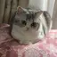 ゆうのプロフィール画像